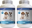 Gesunde Mantel für Hunde Essen - Hunde Haar und Mantel Complex - Fortgeschrittene Haut Relief - Gut für Nägel - Hunde Vitamine für Haare - 2 Flaschen (120 Tabletten)