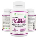 Max Absorption USDA Bio Milchdistel Potent 5:1 Konzentrierter Extrakt (2000 mg Stärke) & Organic Dandelion Root | Silymarin Antioxidant Flavonoid | Liver Support Supplement (60 Count)