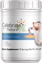 Célébrez les vitamines Poudre de protéines végétaliennes - Tous les mélanges naturels de protéines à base de plantes - 20g de protéines de pois et 3g de fibre, pour la chirurgie post-mariatique - Vanilla Chai (15 portions)