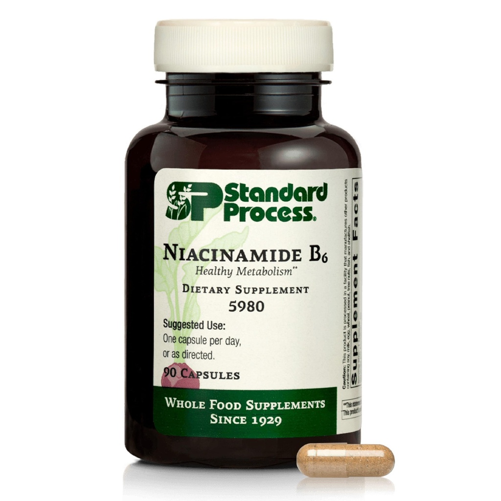 Processus standard Niacinamide B6 - Soutient le métabolisme énergétique et le système nerveux Santé - Aide le flux sanguin et la santé digestive avec Niacin et vitamine B6 - Non-Dairy - 90 Capsules