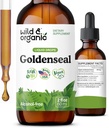 Wild & Organic Goldenseal Wurzel-Tinktur - Lung Cleanse, Immun- & Verdauungsunterstützung - Flüssige Goldenseal-Ergänzung - Vegan, Zucker & Alkoholfreie Kräutertropfen - 2 fl oz