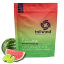 Tailwind Nutrition Endurance Fuel, Carbohydrate & Elektrolyt Sportgetränk Mix Powder, Gluten-Free, Vegan, Dauwaltermelon, 30 Portionen