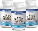 Hundeinkontinenz weiblich - DOG URINARY TRACT SUPPORT - NATURAL CRANBERRY SOLUTION - BLADDER HEALTH - VET RECOMMENDED - Cranberry Wellness Pulver für Hunde - 3 Flasche (270 Bäume)