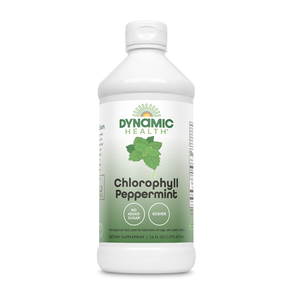 Dynamische Gesundheit Flüssigkeit Chlorophyll Peppermint 100 mg, Natrium Kupfer Chlorophyllins mit Alfalfa und Mulberry Blättern, Pflanzenreinigen und Deodorieren, Ohne Zusatz von Zucker, 16 Fl Oz