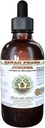 Juniper Alkoholfreie Flüssigextrakt, Bio Juniper (Juniperus Monosperma) Getrocknete Berry Glycerite Hawaii Pharm natürliche Kräuterergänzung 4 oz
