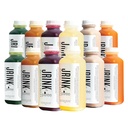 JRINK von Purée Intermediate Juice Cleanse, Cold Pressed Detox Drink mit Organic 2 Day-Healthy Gemüse und Fruchtsaft, Frozen Pressed Juice Cleanse, 12 Flaschen, 16oz Jeder