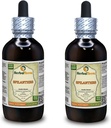 Spilanthes (Acmella oleracea) Tincture, Organic Dried Leaves, Flowers and Stems Liquid Extract (Markenname: HerbalTerra, Proudly Made in USA) 2x4 fl.oz (2x120 ml)
