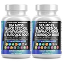Saubere Nutraceuticals Meer Moos Schwarz Seed Öl Ashwagandha Turmeric Bladderwrack Burdock & Vitamin C Vitamin D3 mit Elderberry Manuka Dandelion Gelb Dock Iodine Chlorophyll ACV - 2Pack
