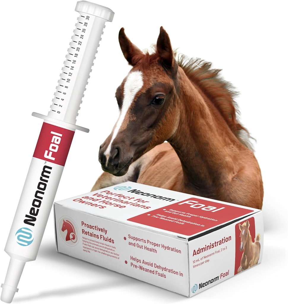 Jaguar Animal Health Foal - Equine Supplement Paste für die Unterstützung von Proper Hydration & Bowel Health - Pflanzenbasiertes Produkt für Pre-Weaned Foals (30 mL)