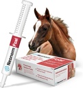 Jaguar Animal Health Foal - Equine Supplement Paste für die Unterstützung von Proper Hydration & Bowel Health - Pflanzenbasiertes Produkt für Pre-Weaned Foals (30 mL)