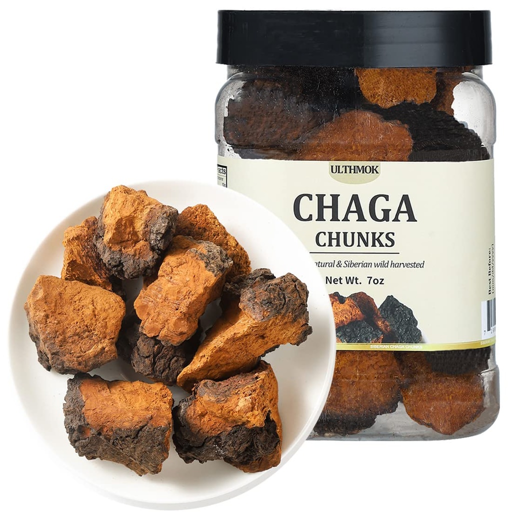 Premium Chaga Mushroom Chunks 7 Oz/199g, Gewählter natürlicher Chaga Pilz-Tee, 100% Siberian Wild Harvested.