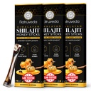 Himalayan Shilajit Honey Sticks pour les hommes et les femmes - 75%+ Acid Fulvic & Trace Minerals - Miel brut, Safran et Himalayan Shilajit Resin - Stimina, Performance & Energy Support - (Pack de 30)