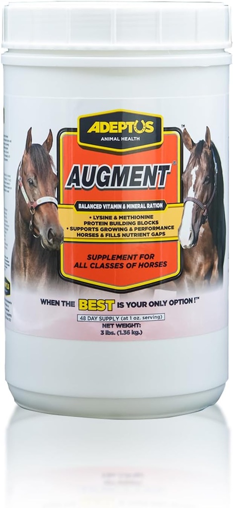 Augmenter la nutrition des Adeptus Vitamine & Mineral Balancer