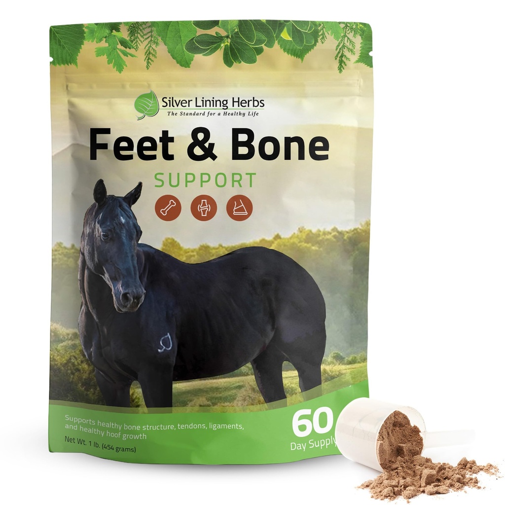 Silber Futter Kräuter Füße & Knochen Unterstützung Pferde Ergänzung Pulver Natürliche Tendons, Ligaments & umgebende Tissues & Hoof Ergänzung für Pferde - Normale Limbs Zirkulation Pferdepflege Supplies - 1 LB
