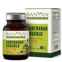 Banyan Botanicals Kanchanar Guggulu Tablets – Organic Lymph Supplement mit Guggulu Resin – fördert die gesünde Beseitigung natürlicher Toxine* – 90 Tablets – Non-GMO Sustainable Sourced Vegan
