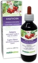 Naturalma Hawthorn (Crataegus oxyacantha) Blatt und Blume Alkoholfreie Tinktur - 6.76 fl oz Flüssiger Extrakt in Tropfen - Kräuterergänzung - Vegan