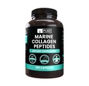 PURE ORIGINAL INGREDIENTS Marine Collagen (365 Kapseln) Kein Magnesium oder Reisfüller, Immer rein, Lab Verifiziert