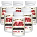 Liposomale Glutathione 2000 mg mit L-Serin, L-Glycin & Sulforaphane – Aktive L-Glutathione Einzigartige Formulierung zur Steigerung der Absorption - Master Antioxidans, Detoxifying & Immune | 360 Softgel