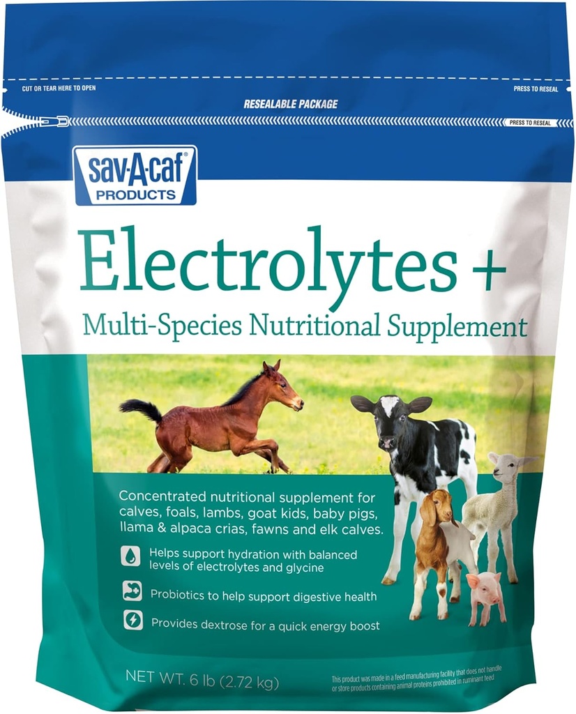 Sav-a-Caf Electrolytes PlusTM Supplément de 6 livres (6 LB)
