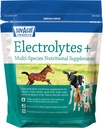 Sav-a-Caf Electrolytes PlusTM Supplément de 6 livres (6 LB)