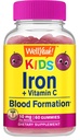 Naja Ja Eisengummis für Kinder mit Vitamin C - Anämie Unterstützung, Rote Blutzellen Bildung, Energie und Immunität Unterstützung Gummy, Eisen Nahrungsergänzungsmittel für Kinder - GMO Free, Natürliche Trauben Geschmack - 60 Zähler