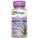 Solary Mastic Gum Extract 500 mg 45 Compte