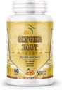 Bio Ginger Root Powder (Zingiber officinale) Verdauungsunterstützung - 60 Veggie Kapseln