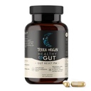 ORIGINE DE TERRA Gut sain Réinitialiser le PM.60 Capsules de Veggie Supplément d'aide au sommeil naturel pour les cycles de sommeil et de réveil.
