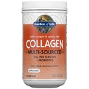 Supplément en poudre pour peptides de collagène marin et gazon (type I, III) avec probiotiques et BCAA pour la mobilité, la santé articulaire, les cheveux, la peau et les ongles - non aromatisé, 20g par portion, 12 portions