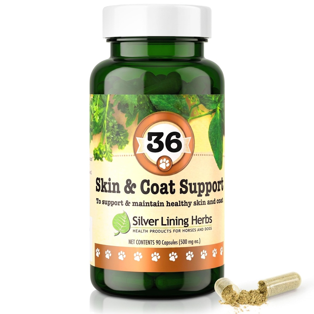Silver Lining Herbs 36 Canine Skin & Coat Support - Natürliche Kräuter-Ergänzung, um Hunde vor der Umwelt zu stärken - Kräuter Skin und Mantel-Ergänzung für Hunde - 90 Kapseln