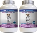 Soins respiratoires pour chiens - PROBIOTIQUES pour chiens - Gout sain - Stop Diarrhée gazeuse et mauvaise haleine - Boost digestif - Probiotiques pour chiens pour chiots - 2 bouteilles (120 gâteries)