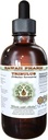 Tribulus Alkoholfreie Flüssigextrakt, Tribulus (Tribulus Terrestris) Getrocknete Frucht Glycerit natürliche Kräuterergänzung, Hawaii Pharm, USA 2 fl.oz