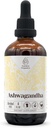 Ashwagandha Alcohol-Free Natural Tincture Extract, Immunsystem Booster, Flüssige Tropfen aus 100% Ashwagandha (Withania somnifera) Getrocknete Wurzel (4 fl oz)