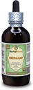 Skullcap (Scutellaria Lateriflora) Glycerit, Organic Dried Herb Alcohol-Free Liquid Extract (Markenname: HerbalTerra, Proudly Made in USA) 4 fl.oz (120 ml)