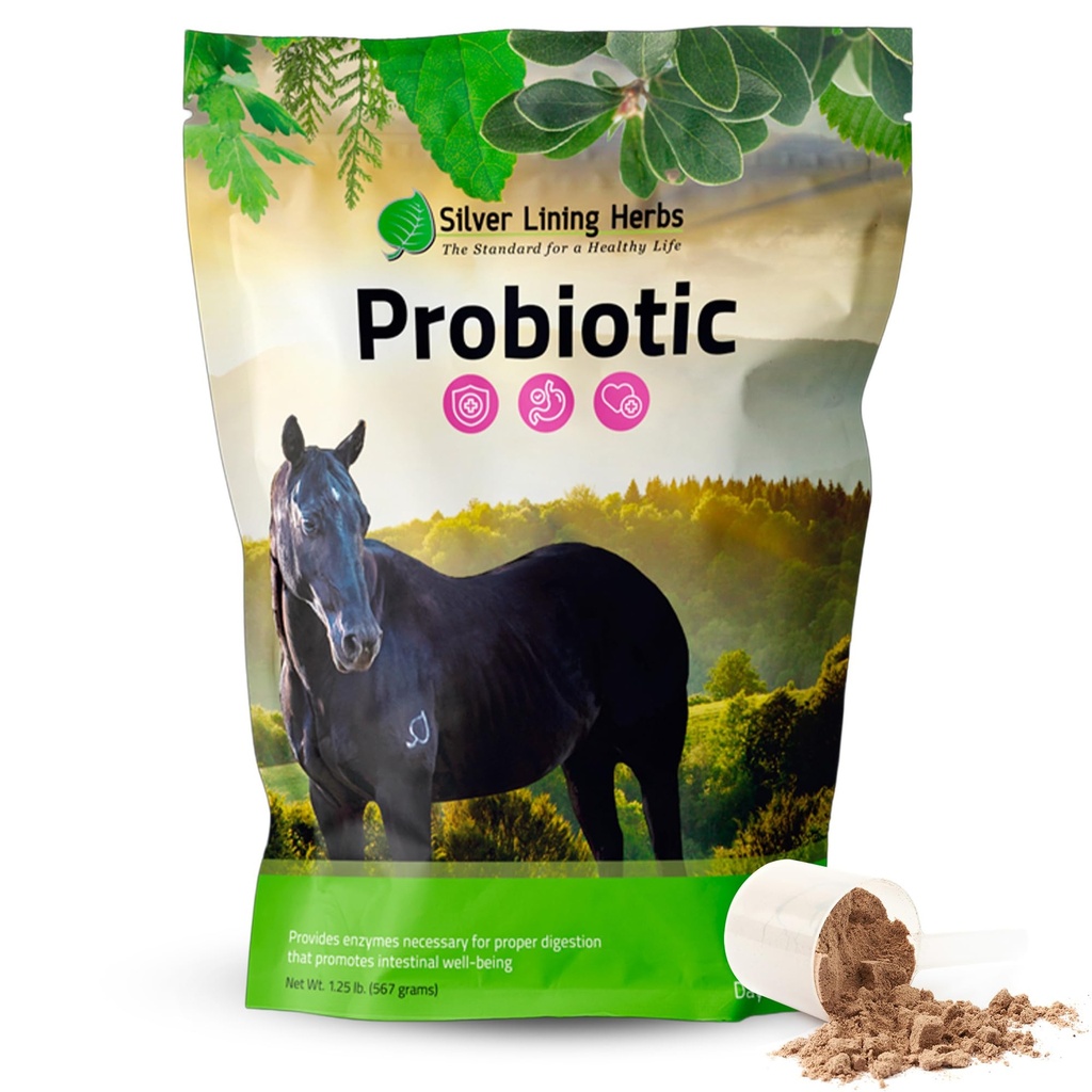 Feuilles d'argent Probiotiques de cheval Suppléments digestifs - Supplément probiotique enzymatique digestive et de santé pour les chevaux - Contient 13,2 milliards d'UFC Straines probiotiques - 1,25 lb 60 jours