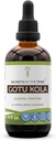 Secrets de la tribu Gotu Kola Tecture Extrait d'alcool liquide, Gotu Kola (Centella Asiatica) Herbe séchée (4 FL OZ)