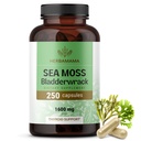 HERBAMA Irish Sea Moss Capsules - 1600mg Sea Moss und Bladderwrack für Immununterstützung - Vegan, Non-GMO Immunity Supplement für Gesamtunterstützung