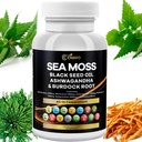 Sea Moss 3000mg Schwarz Seed Öl 2000mg Ashwagandha 1000mg Bladderwrack 1000mg Turmeric 1000mg Burdock 1000mg Vitamin C & D3 Elderberry Manuka Dandelion Gelb Dock Chlorophyll ACV