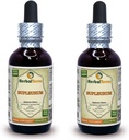 Bupleurum (Bupleurum Chinense) Tincture, Organic Dried Root Liquid Extract (Markenname: HerbalTerra, Proudly Made in USA) 2x2 fl.oz (2x60 ml)
