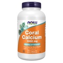 JETZT Nahrungsergänzungsmittel, Coral Calcium 1.000 mg, Knochengesundheit*, Gesunde pH-Balance*, 250 Veg Kapseln