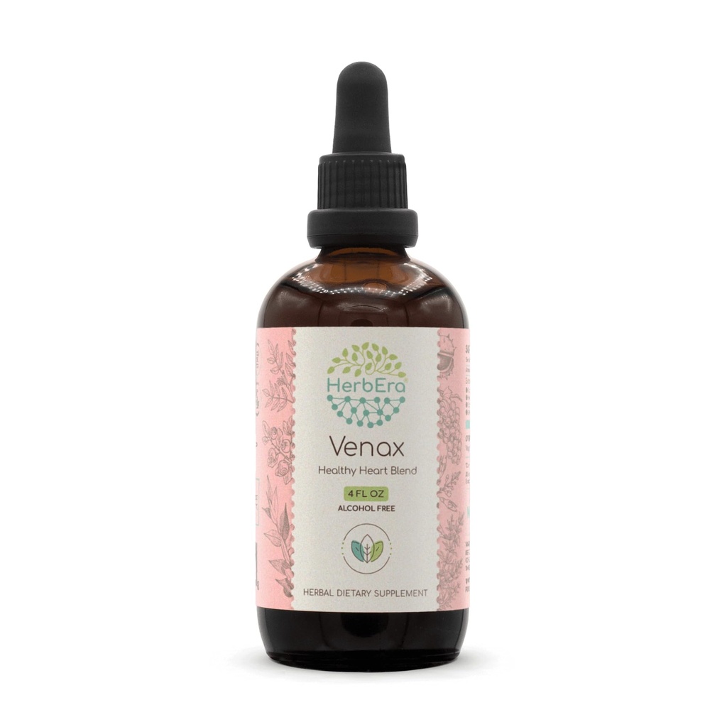 HerbEra Venax B120 Alkoholfreie Extrakt-Tinktur, Konzentrierte flüssige Tropfen: Metzgers Broom Root, Pferd Chestnut Nut, Rosmarin Blatt, Krickly Ash Bark, Bilberry Blatt, Grape Seed. Stone Root. 4 Oz