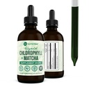 360 Nutrition Matcha Chlorophyll Liquid Drops mit L-Theanin, Gluten Free & Vegan Interne Deodorant Ergänzung, unterstützt Gut Gesundheit, Verdauung, Energie, Radiant Haut, schnelle Absorption, 60 Portionen