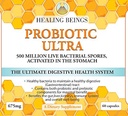 Die Original Probiotic Ultra- (Doctor Formulated) Umfassende Verdauungs- und Darmgesundheitsunterstützung sowohl Pre-Biotisch als auch Pro-Biotisch. Es unterstützt auch Auto Immune Verwandte Wellness