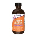 JETZT Ergänzungen, CoQ10 Flüssigkeit, 100 mg pro Teelöffel, mit Co-Enzym B Vitamine, mit Xylitol, 4-Ounce