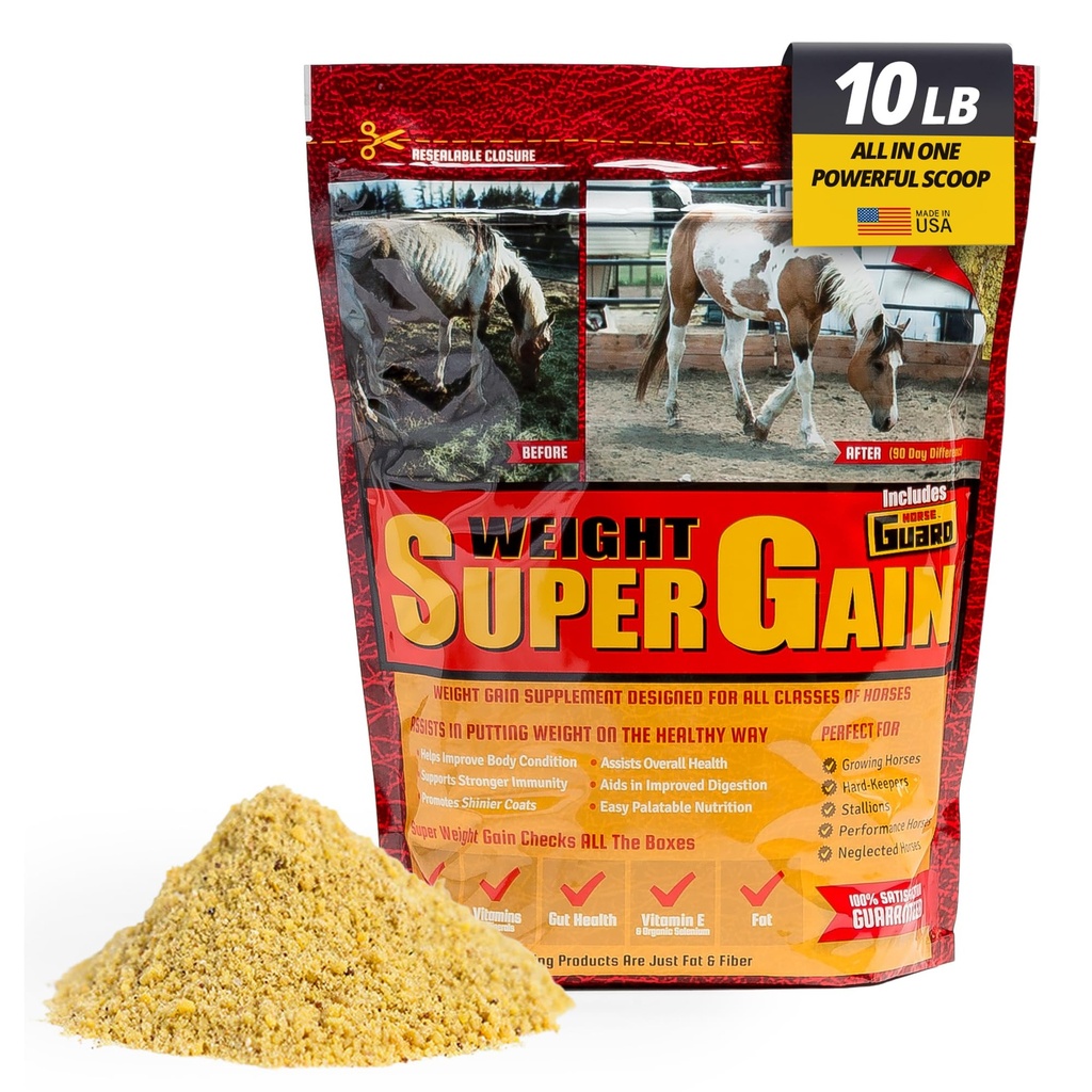 Super gain de poids 10 lb, supplément de vitamine équine minérale, probiotique et gain de poids