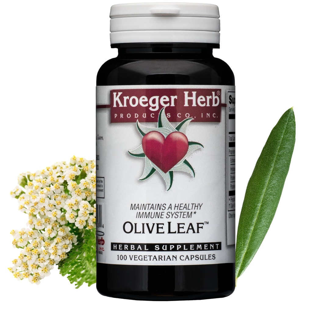 Kroeger Kräuter, Olivenöl Blatt Extrakt Kapseln für Immunsystem, Olivenöl Blatt & Yarrow Supplement, Vegetarisch, Non-GMO, Glutenfrei, keine Konservierungsmittel - 100 Kapseln, Made in USA