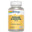 SOLARAY Choline & Inositol 250 mg | Zwei-Nutrient Combo für gesunde Fett Stoffwechsel, Gehirn-Funktion Unterstützung | 100 VegCaps