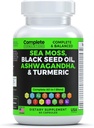 Sea Moss Ergänzung Blend mit schwarzem Seed Öl Ashwagandha Turmeric Bladderwrack, Burdock & Vitamin C & D3 mit Elderberry Manuka Dandelion Gelb Dock Iodine