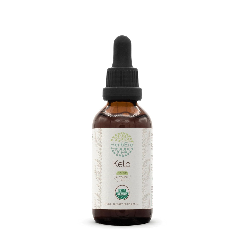 HerbEra Kelp B60 USDA Organic Tincture | Alkoholfreier Extrakt, hochkarätige Kräutertropfen | Certified Organic Kelp (Ascophyllum nodosum) Getrocknete Pflanze (2 oz)