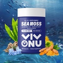 Sea Moss Black Seed Oil Ashwagandha Shilajit Ginger-Sea Moss Kapseln mitBurdock Turmeric Vitamins C & D3 Elderberry Ginger ACV Manuka Dandelion-Immune System,Skin,Energieunterstützung